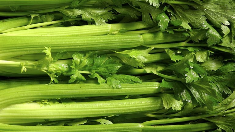 Celery